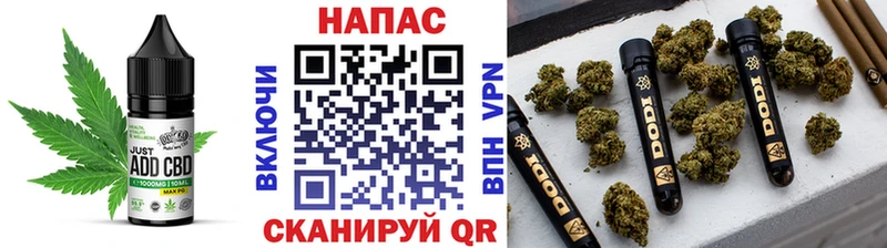 Купить  Кочубеевское  Еда ТГК конопля 