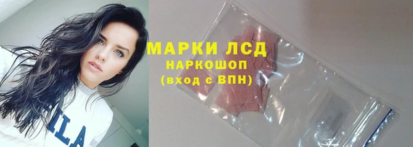 СК Киренск
