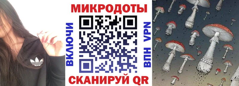 Купить  Кочубеевское  Псилоцибиновые грибы Psilocybe 